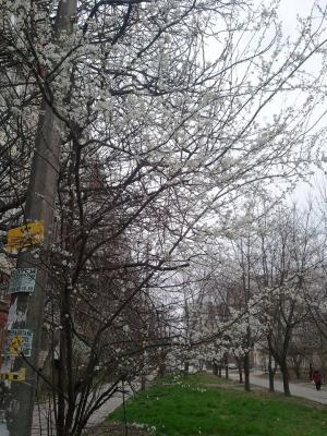 Прикрепленное изображение: f2.jpg